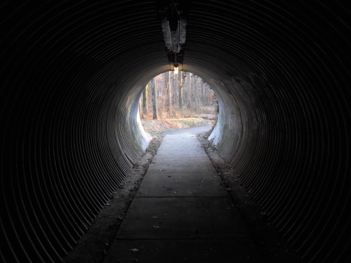 winter walk.tunnel